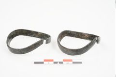Foto von Bronzeschaukelfußreif (NHMW-PRAE-026220)